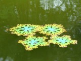 Floating Flakes / 2010 / Installation / 228 Park,Taipei
水花漂2010/裝置/二二八公園,台北